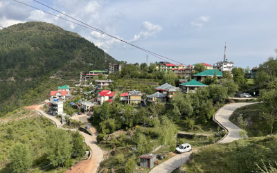 Wellness Retreats for the Digital Age: Disconnect to Reconnect in Dharamshala