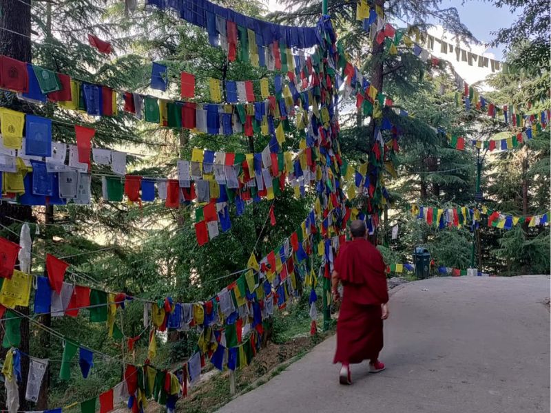 dharamshala, dharamkot