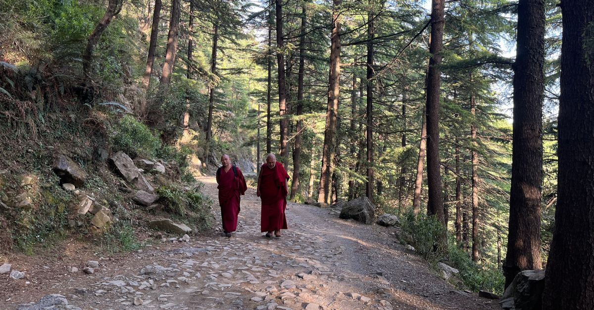 Prayer Flags, Dharamkot, Dharamshala, Himachal Pradesh, India