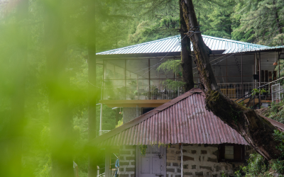 A Day in the Life at Dharamkot Studio: Creativity, Calm, and Connection in the Himalayas