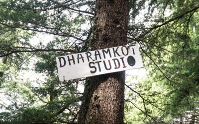 10 Best Things to Do in Dharamkot & McLeod Ganj