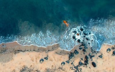 Top 10 Things to Do in Goa Beyond Beaches & Nightlife